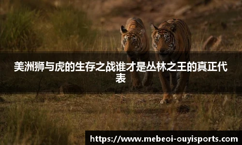 oety欧亿体育官网